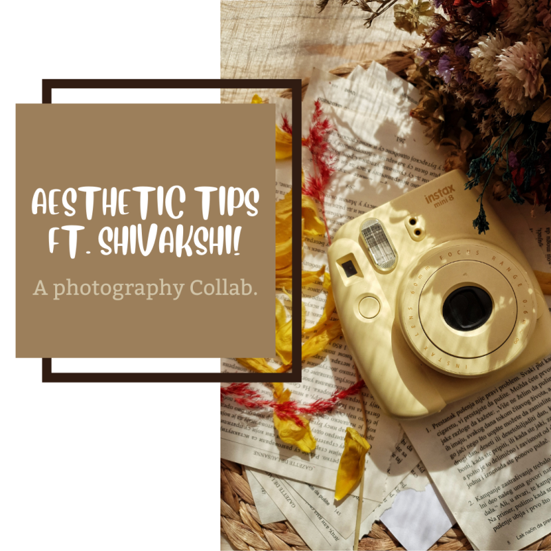 A photography collab! || Aesthetic tips ft. Shivakshi from “Tales I tell”